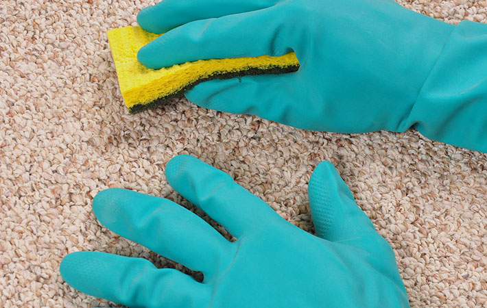 Правила чистки ковровых покрытий от мочи